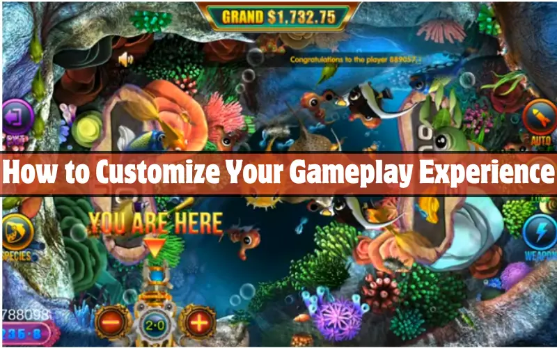 Download Fire Kirin for PC & Play on Your Desktop 3 How to Customize Your Gameplay Experience